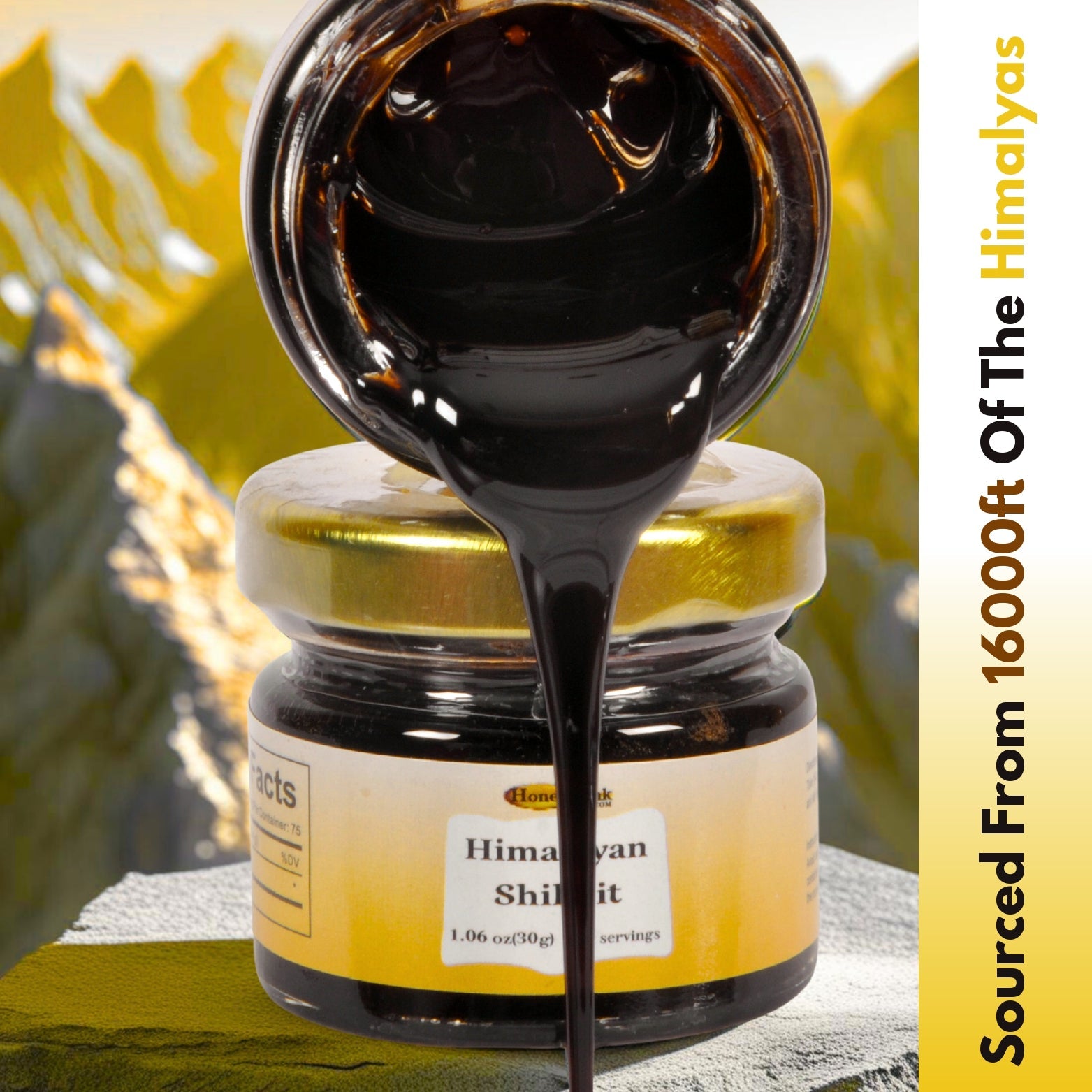 Himalayan Shilajit