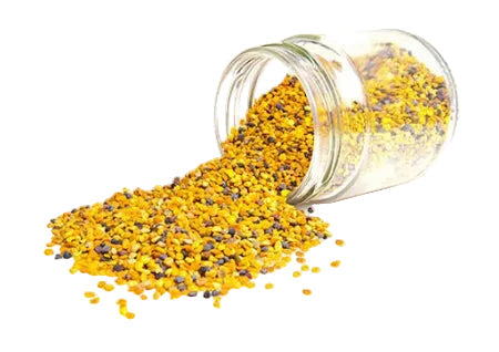 Bee Pollen - honeybankuae